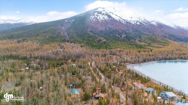 bird's eye view featuring a forest view and a water and mountain view