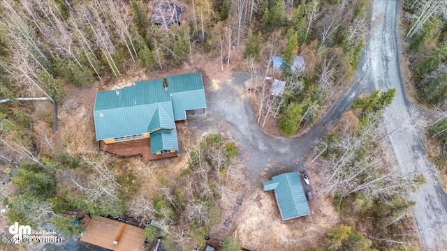 aerial view
