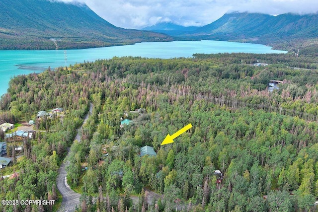 aerial view featuring a water and mountain view and a forest view