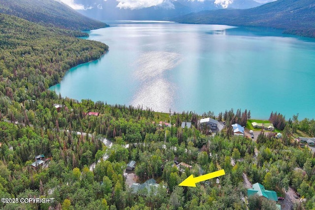 birds eye view of property featuring a water and mountain view and a forest view