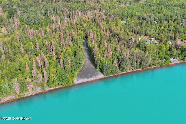drone / aerial view with a water view and a wooded view