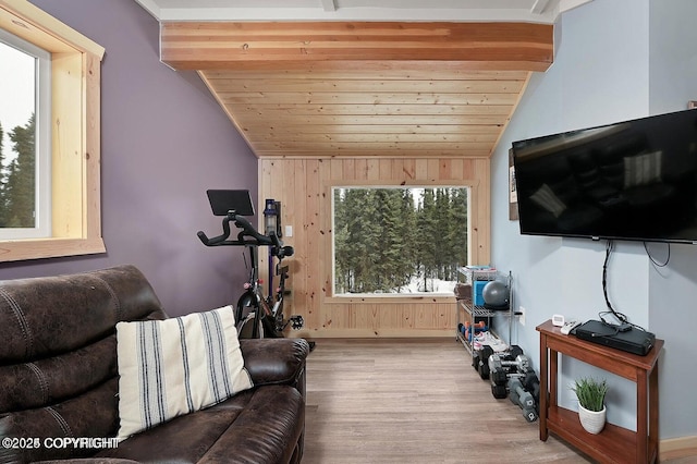 36696 Tammarack St, Soldotna, AK 99669 - living room with wood finished floors, wood ceiling, lofted ceiling, and wooden walls