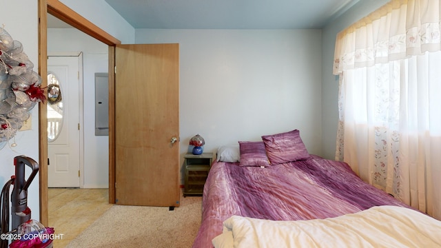 bedroom with carpet and electric panel