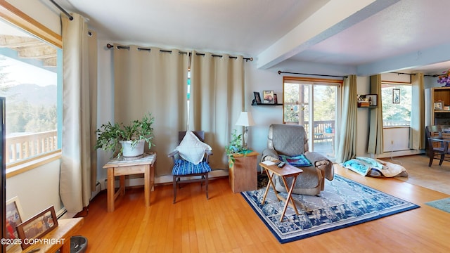 living area featuring wood finished floors