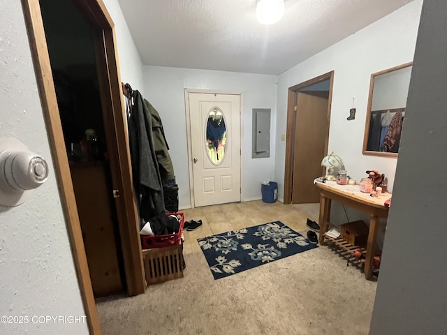 carpeted entryway with electric panel