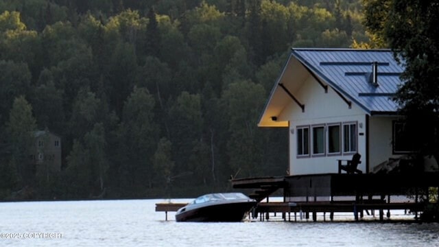 water view featuring a forest