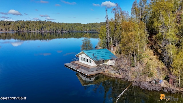 dock with a forest view and a water view