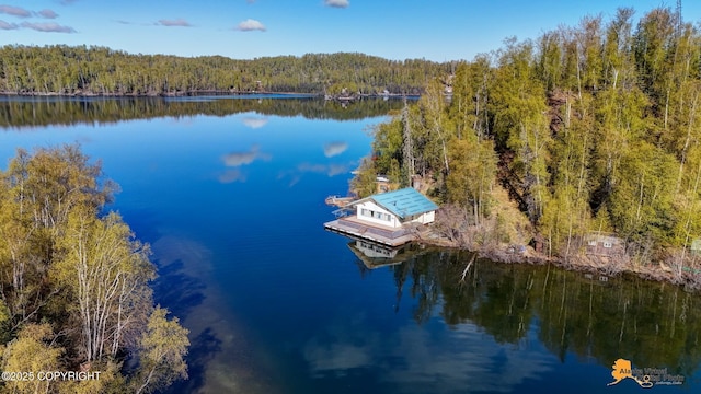 drone / aerial view of a heavily wooded area and a large body of water