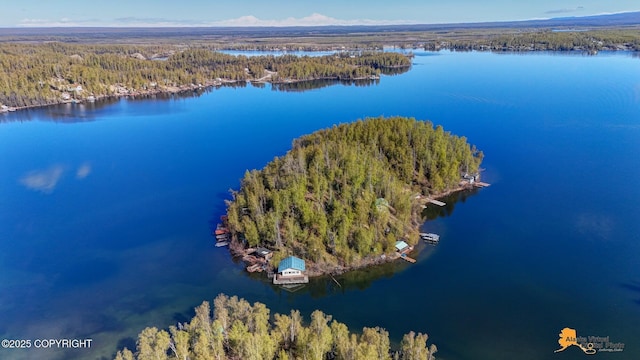bird's eye view of a forest and a nearby body of water