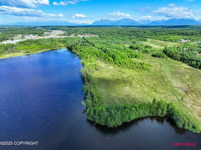 10577 Johnson Way, Wasilla, AK 99623 - photo 3