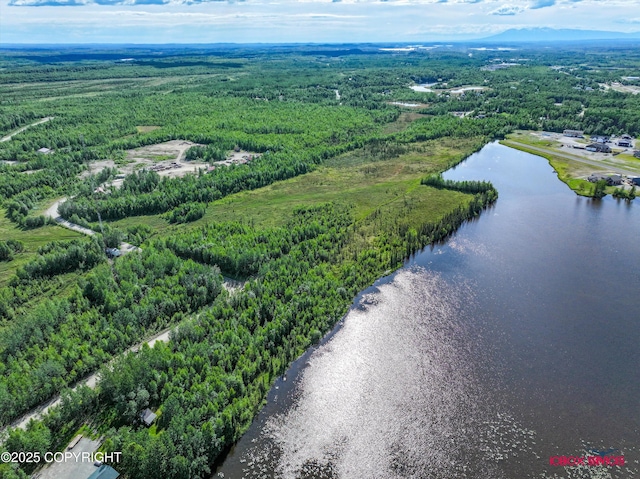 10577 Johnson Way, Wasilla, AK 99623 - photo 11