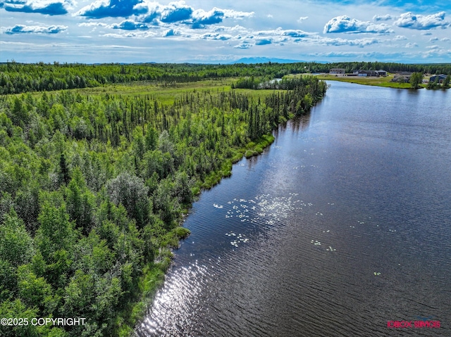 10577 Johnson Way, Wasilla, AK 99623 - photo 12