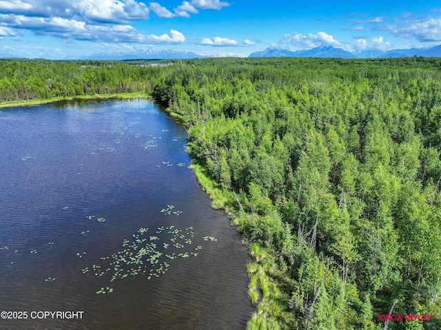 10577 Johnson Way, Wasilla, AK 99623 - photo 14