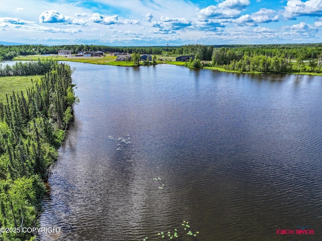 10577 Johnson Way, Wasilla, AK 99623 - photo 16