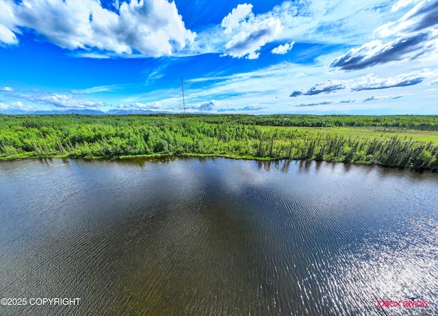 10577 Johnson Way, Wasilla, AK 99623 - photo 18