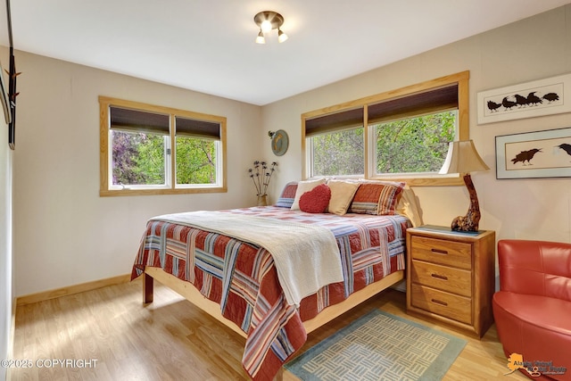 16900 Ransom Ridge Rd, Anchorage, AK 99516 - bedroom featuring wood finished floors and baseboards