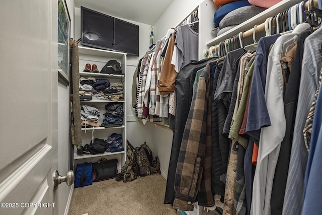 3604 N Copperspike St, Wasilla, AK 99623 - spacious closet featuring carpet