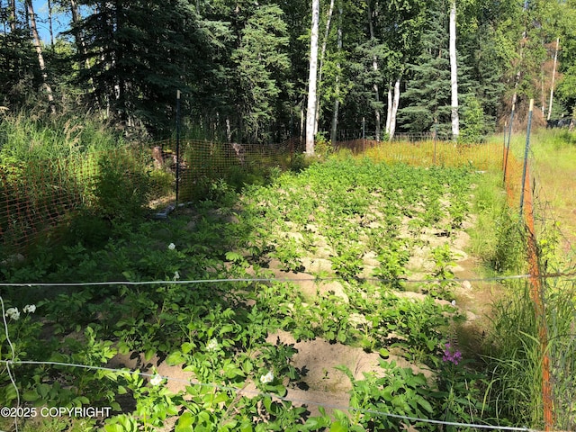 3604 N Copperspike St, Wasilla, AK 99623 - view of nature