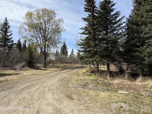 63531 Jessica G Ct, Ninilchik, AK 99639 - view of dirt / gravel road