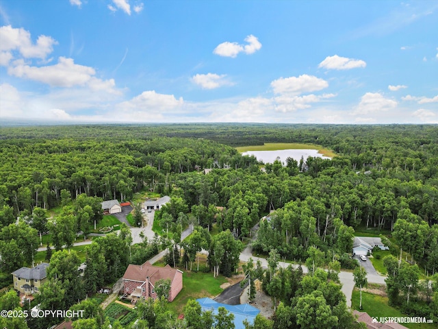 3600 N Fortune Cir, Wasilla, AK 99654 - bird's eye view of a heavily wooded area and a nearby body of water