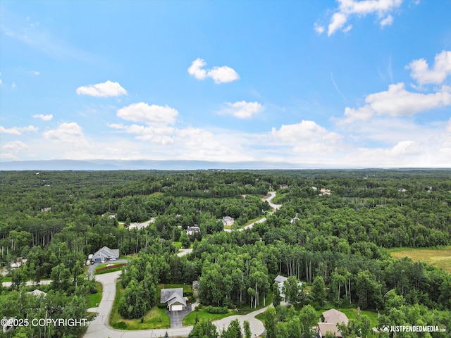 3600 N Fortune Cir, Wasilla, AK 99654 - aerial view of a heavily wooded area