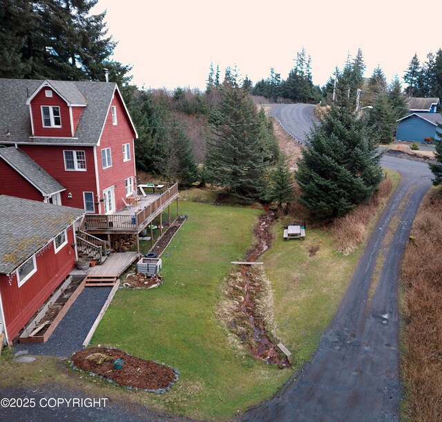 bird's eye view