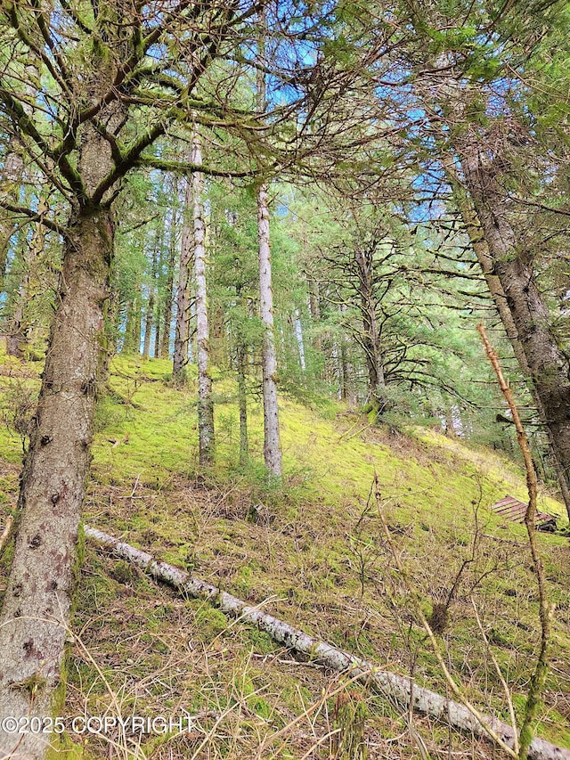 view of nature