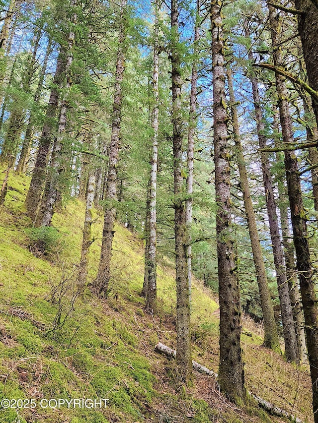 view of local wilderness with a view of trees