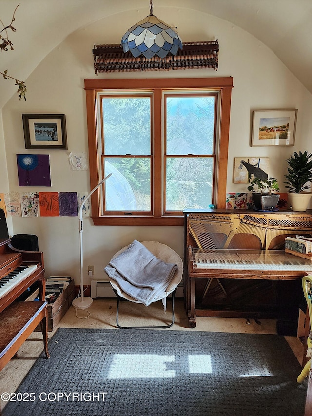 bedroom with lofted ceiling, baseboard heating, and multiple windows