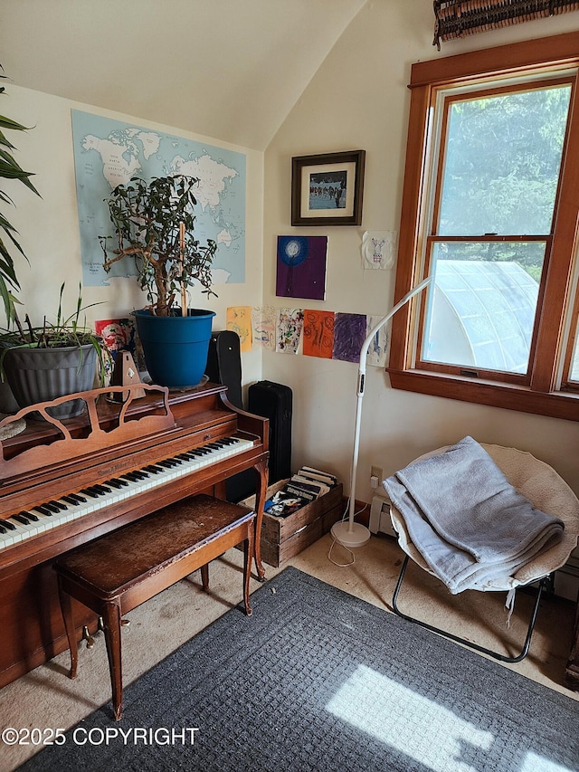 living area featuring lofted ceiling and carpet flooring