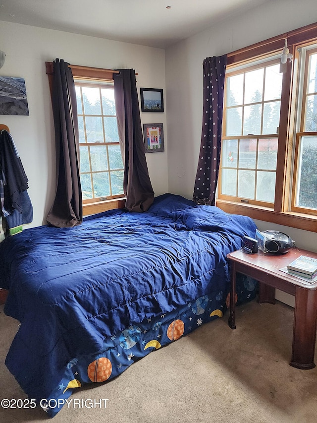 bedroom featuring carpet floors and multiple windows