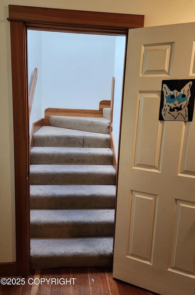 staircase featuring wood finished floors