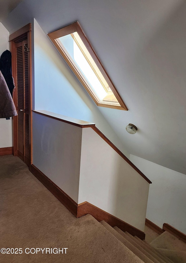 interior space featuring baseboards, carpet flooring, and vaulted ceiling with skylight