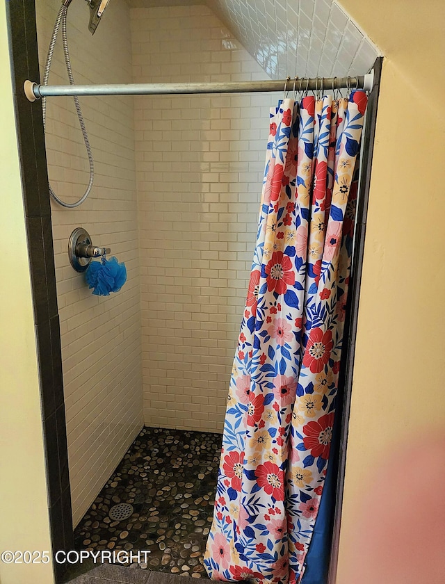 bathroom featuring a shower stall