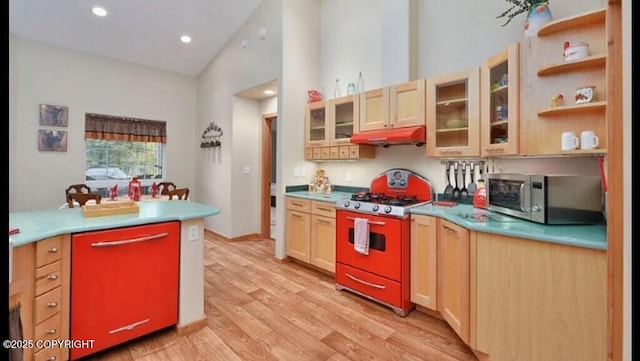 21899 Sterling Hwy, Cooper Landing, AK 99572 - kitchen with light brown cabinetry, light wood-style flooring, stainless steel appliances, and under cabinet range hood