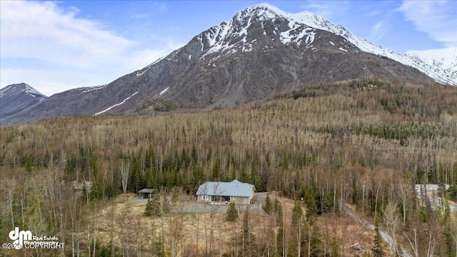 21899 Sterling Hwy, Cooper Landing, AK 99572 - view of mountain feature with a wooded view
