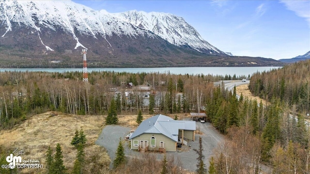 21899 Sterling Hwy, Cooper Landing, AK 99572 - property view of mountains with a water view and a view of trees