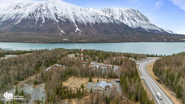 21899 Sterling Hwy, Cooper Landing, AK 99572 - view of water feature with a mountain view and a wooded view