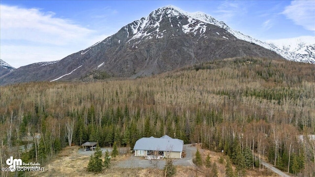 21899 Sterling Hwy, Cooper Landing, AK 99572 - mountain view with a view of trees