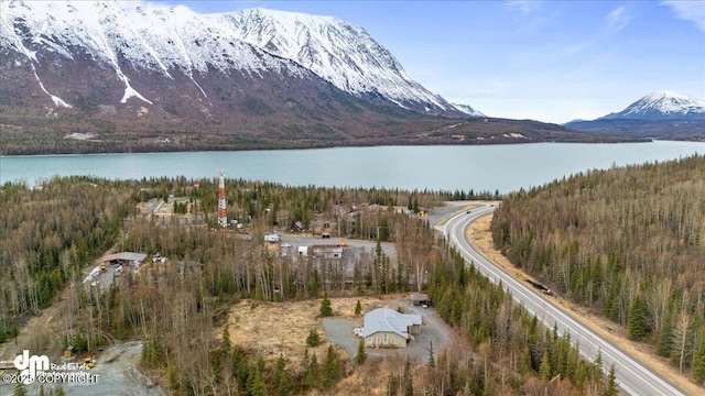 21899 Sterling Hwy, Cooper Landing, AK 99572 - view of water feature featuring a mountain view and a wooded view