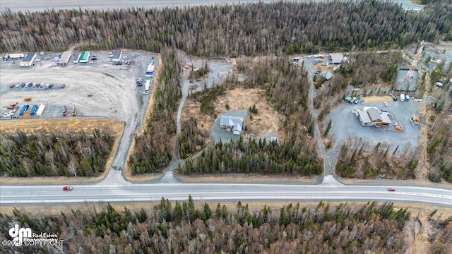 21899 Sterling Hwy, Cooper Landing, AK 99572 - bird's eye view featuring a view of trees