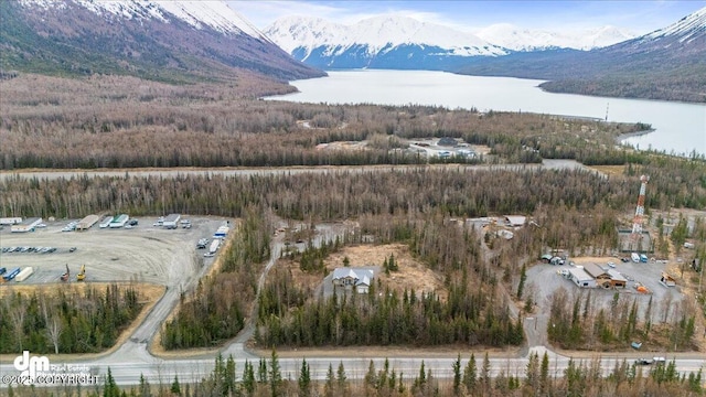 21899 Sterling Hwy, Cooper Landing, AK 99572 - aerial view featuring a water and mountain view and a forest view