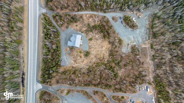 21899 Sterling Hwy, Cooper Landing, AK 99572 - drone / aerial view
