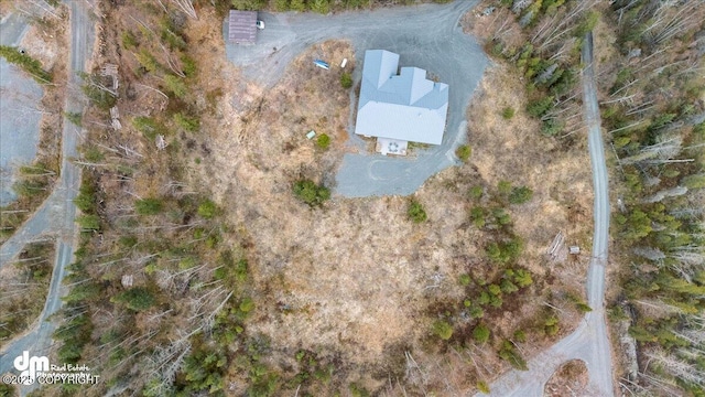 21899 Sterling Hwy, Cooper Landing, AK 99572 - bird's eye view