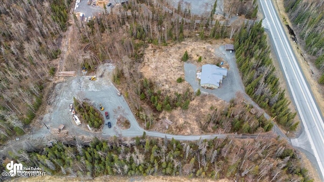 21899 Sterling Hwy, Cooper Landing, AK 99572 - aerial view