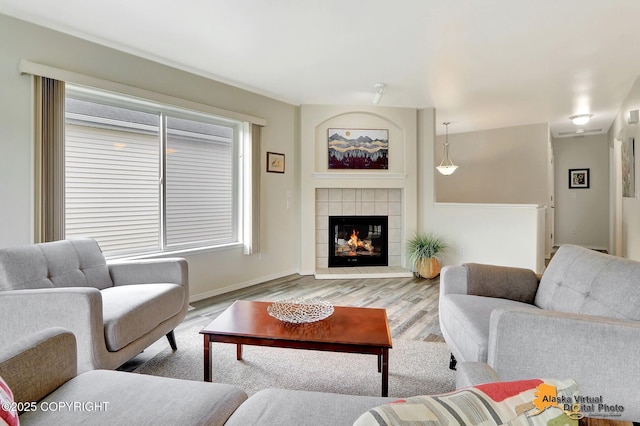 living room featuring wood finished floors, a fireplace, and baseboards