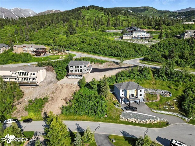 6485 Prominence Pointe Dr, Anchorage, AK 99516 - aerial overview of property's location with mountains