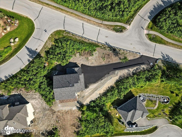 6485 Prominence Pointe Dr, Anchorage, AK 99516 - view of property location