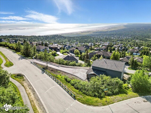 6485 Prominence Pointe Dr, Anchorage, AK 99516 - aerial view of residential area