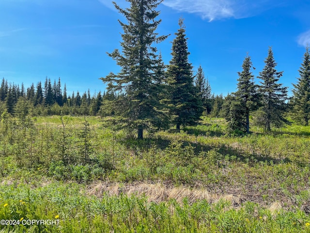 L18 Sonny St, Anchor Point, AK 99556